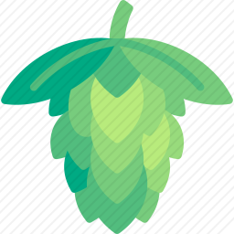 <em>植物</em>