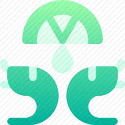<em>虾</em>