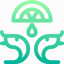 <em>虾</em>