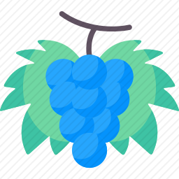 <em>葡萄</em>