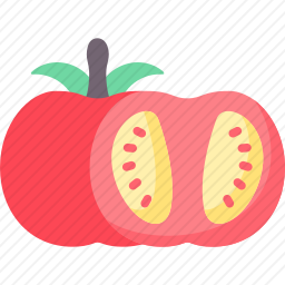 <em>番茄</em>