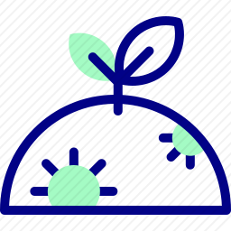植被