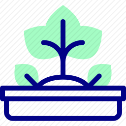 植物