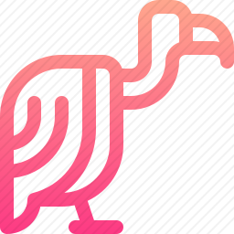 秃鹫