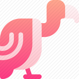 秃鹫