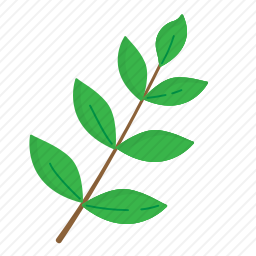 <em>植物</em>