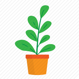 植物