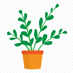 植物