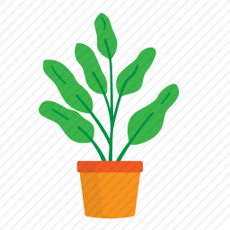 植物