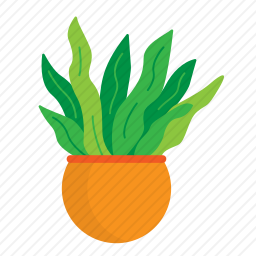 植物