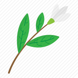 花