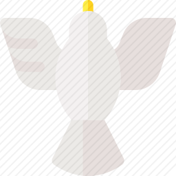 鸽子