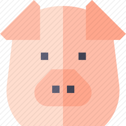 <em>猪</em>