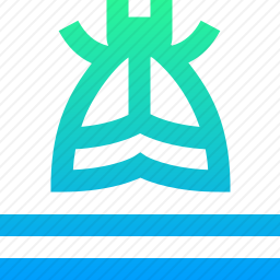 蛾