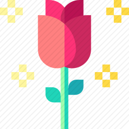 玫瑰