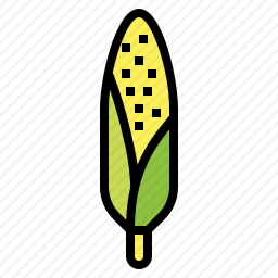 <em>玉米</em>
