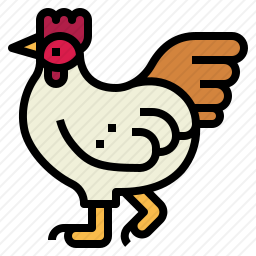 母鸡