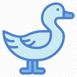 鸭子