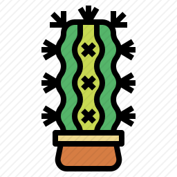 仙人掌