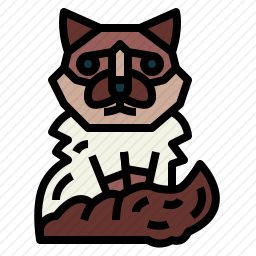 伯曼猫