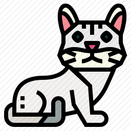 Burmilla猫