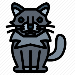 尼伯隆猫