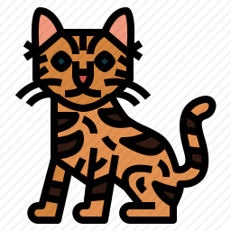 塞伦盖蒂猫