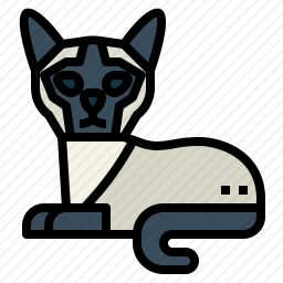 暹罗猫