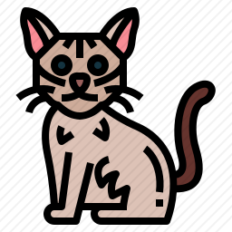 新加坡猫