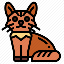 索马里猫