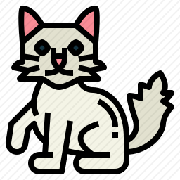 土耳其猫