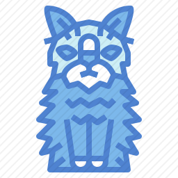 挪威森林猫