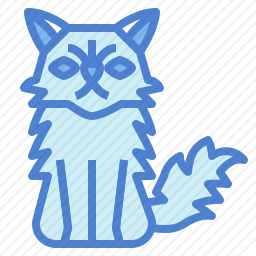 波斯猫