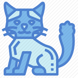 布娃娃猫