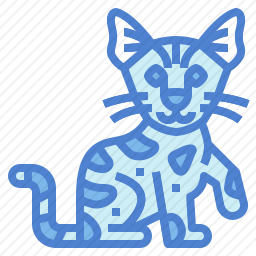 萨凡纳<em>猫</em>
