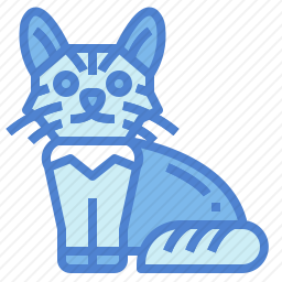 索马里猫
