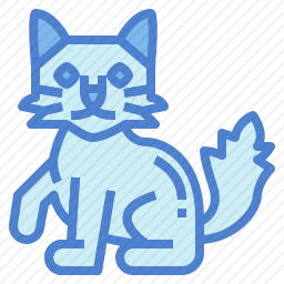 土耳其<em>猫</em>