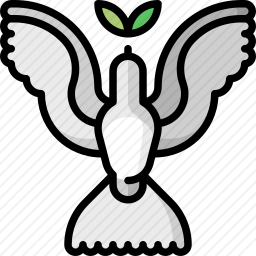 鸽子