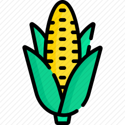 <em>玉米</em>