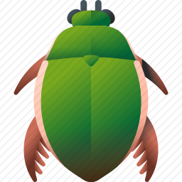 潜水甲虫