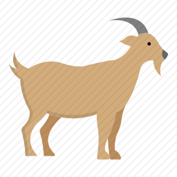 山羊