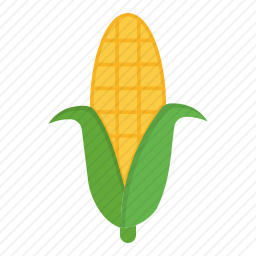 <em>玉米</em>