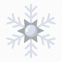 <em>雪花</em>