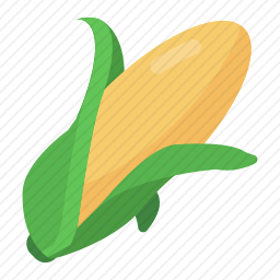 玉米棒