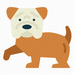 斗牛犬