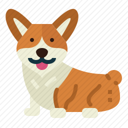 科基犬