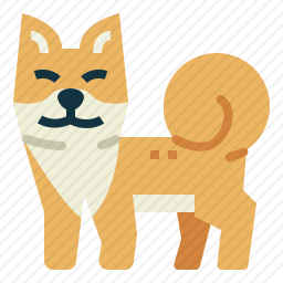 柴犬