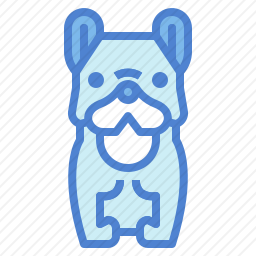 <em>法国</em><em>斗牛犬</em>