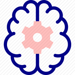 脑