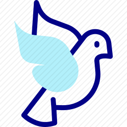 鸽子